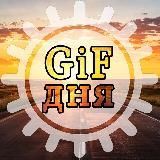 GiF дня