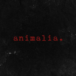 animalia