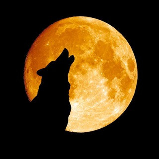 Wolf Moon Binary Signals?