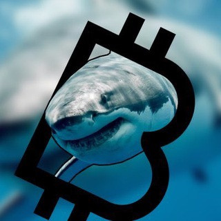 BitmexShark