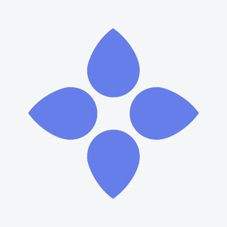 Bloom Official Community