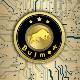 BULMEX GLOBAL TEAM