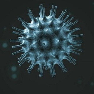 Coronavirus News