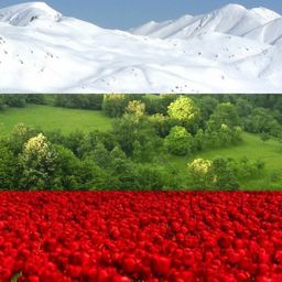 Болгария: новости, жизнь и соседи