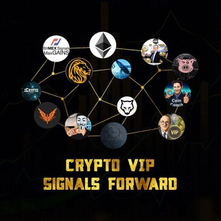  VIP  Forward