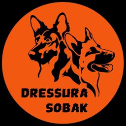 dressura.sobak