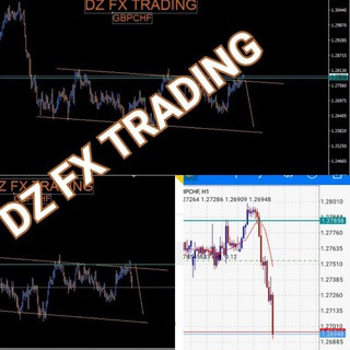 DZ FX TRADING 