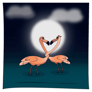 Flix the Flamingo by Sheida