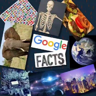 Google Facts™ [ ️@googlefactss?]