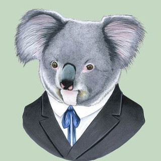 KoalaMoon Official