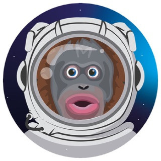 Monke Token | Community