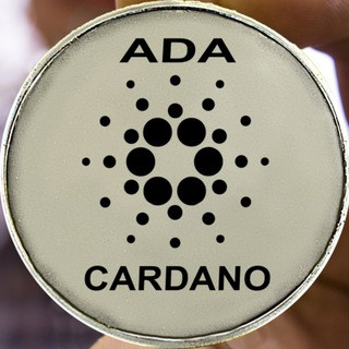 Cardano News