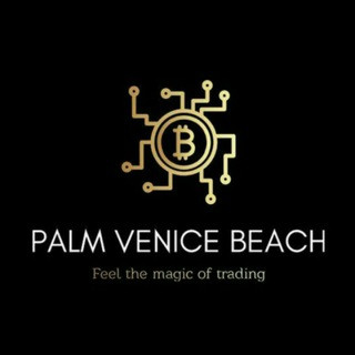 Palmvenicebeach