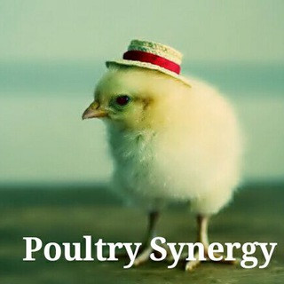 Poultry Synergy Group