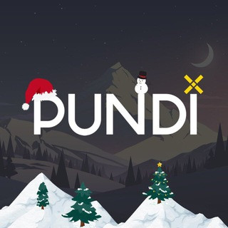 Pundi X USA  (Unofficial)