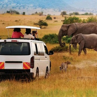 @Epanoui_Vibes_Safaris_ltd ??????✈️?⛺️??✈️