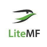 LiteMF. Товары из ОАЭ, США, ЕС: выкуп и доставка