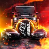 TIGER_DRIVE_INC