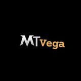MTvega - Супермаркет техники из США
