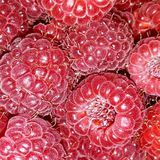 ЭКО-Потребители Бат-Ям