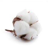 Итальянские ткани. Tessuti Di Marca.