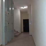 Студии от АН &quot;Альтаир&quot;