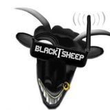 Black Sheep