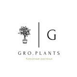 Gro.plants - растения Казань 