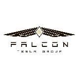 FALCON TESLA GROUP