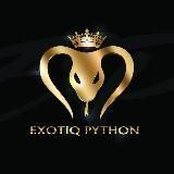 Exotiq Python Shop