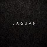 J A G U A R
