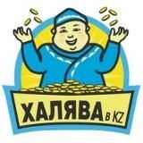 Учёба и работа в сети!