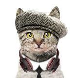 Chaikoffsky™ SOUND