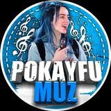 Pokayfu_muz