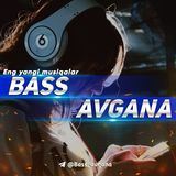 BASS AVGANA