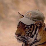 Канал Веселых и Находчивых