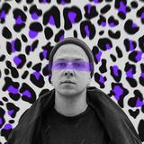 Леопардовый рок`н`рольщик