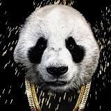 Хип-хоп панда