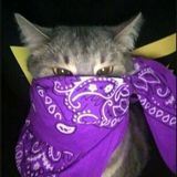 SLIV GANG | ПЕРЕХОДНИК