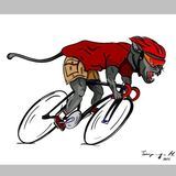 Bike shop Frankivsk