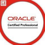 Oracle Developer‍