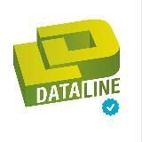 Салатовая телега DataLine