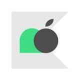 Kotlin Multiplatform Mobile Russia