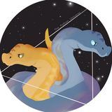 The Python Universe