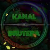 Канал у Brutera