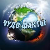 Чудо-факты