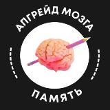 Память | Апгрейд мозга™