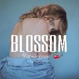 BLOSSOM  Чек-листы Гайды блогеров Курсы бесплатно слив Марафоны Вебинары