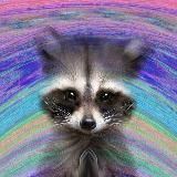 Digital Raccoon