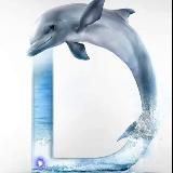 &quot;Country in the Ocean&quot; - подводный и надводный мир